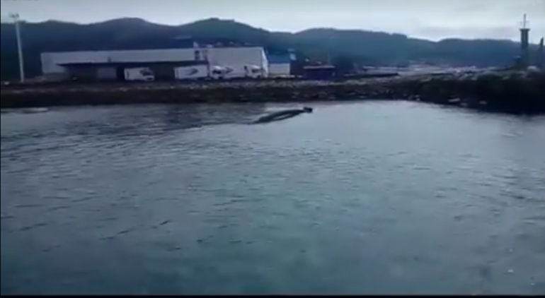 Imagen publicada por el BNG de Viveiro en la que se aprecia como el emsiario submarino sale a flote.