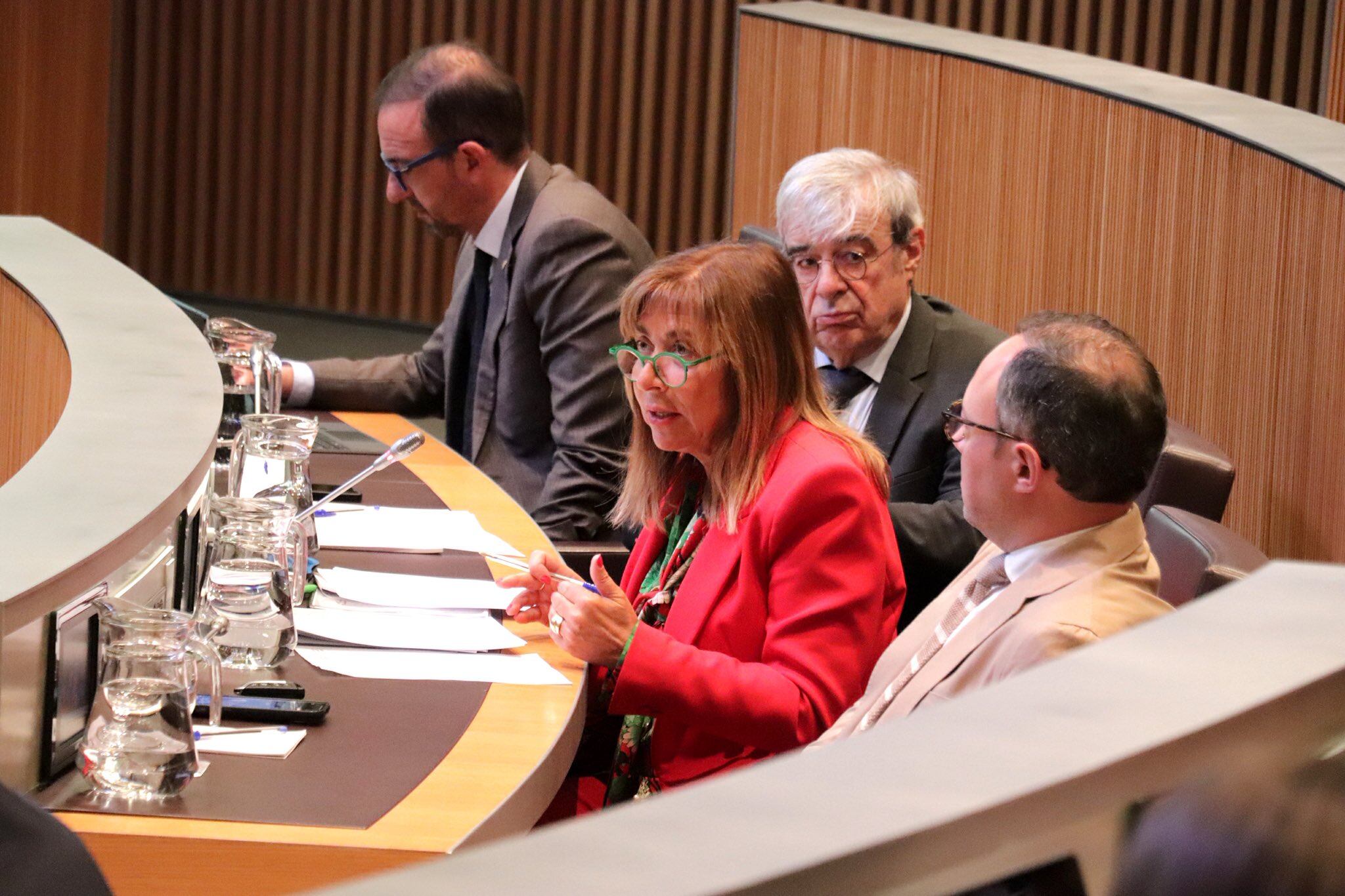 La ministra d&#039;Economia, Conxita Marsol, en seu parlamentària