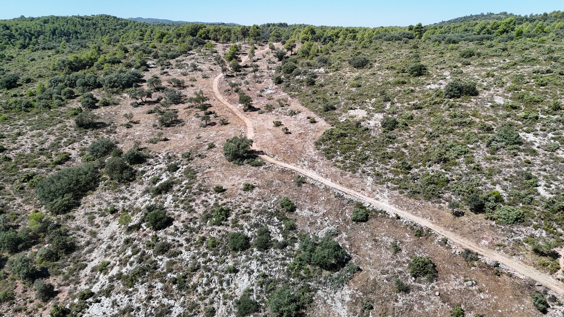 La franja cortafuegos y la mejora del camino entre Mas dels Capellans y del Pla