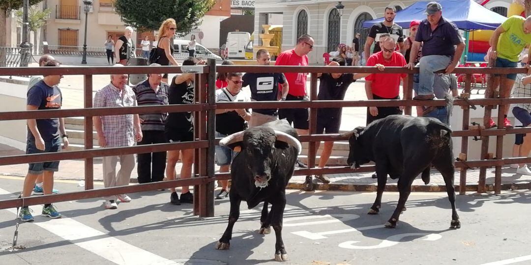 Encierros de Almodóvar del Campo 2018