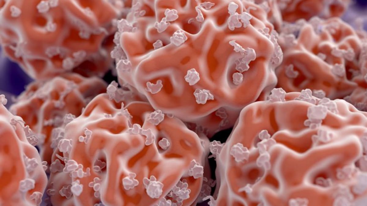 'No hay que temer a la ciencia'