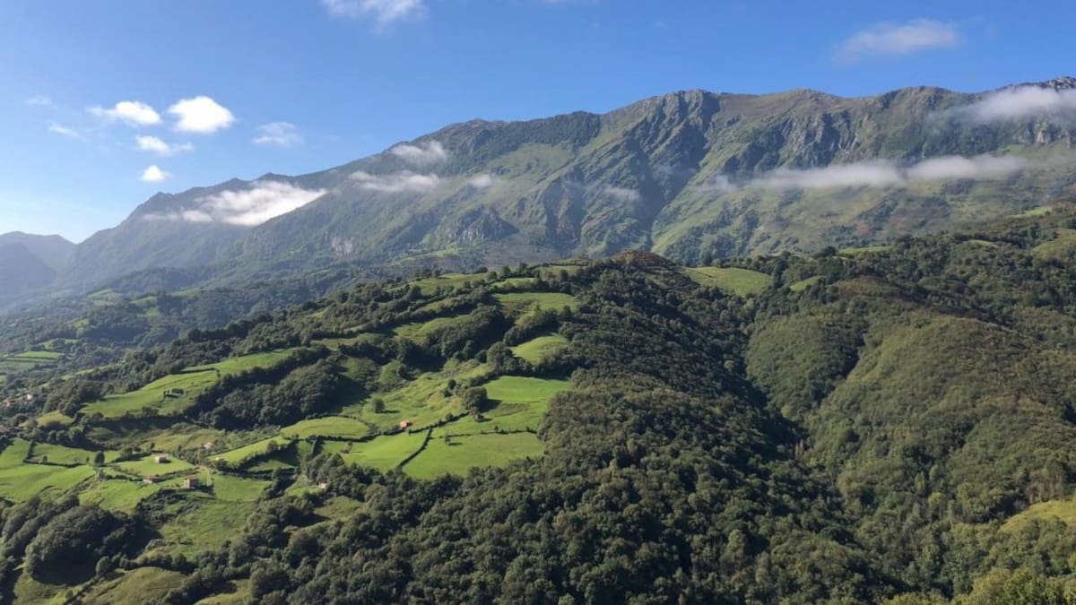 Víctor Vivar: "Hay que federarse"