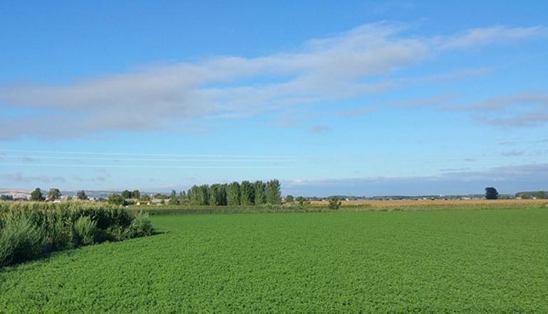 Paraje de la Vega de Granada.