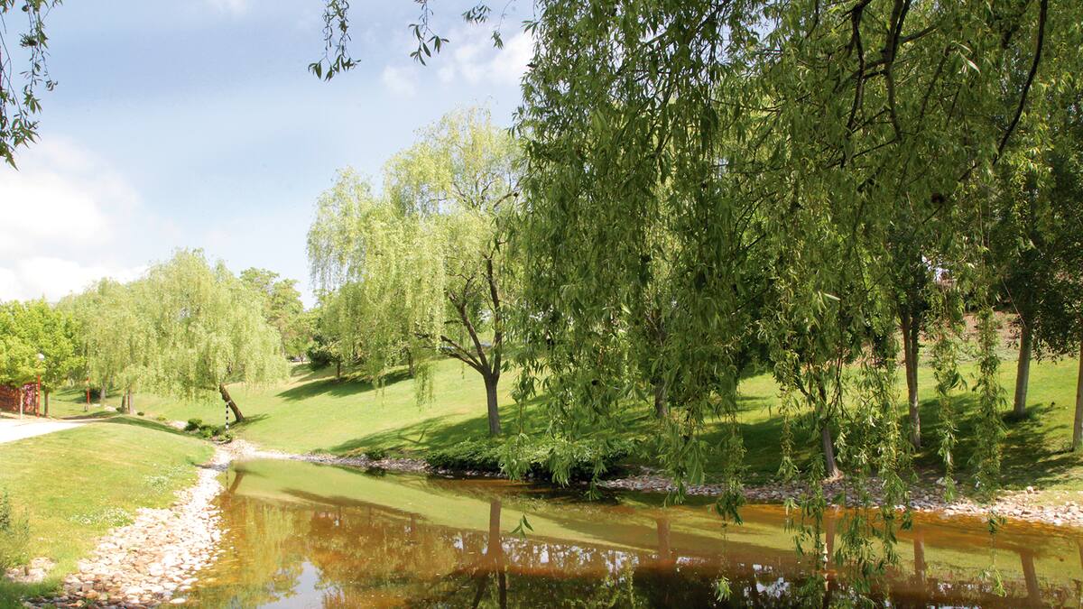 Dos positivos de gripe aviar en Alcobendas obligan a activar medidas en el norte de la región