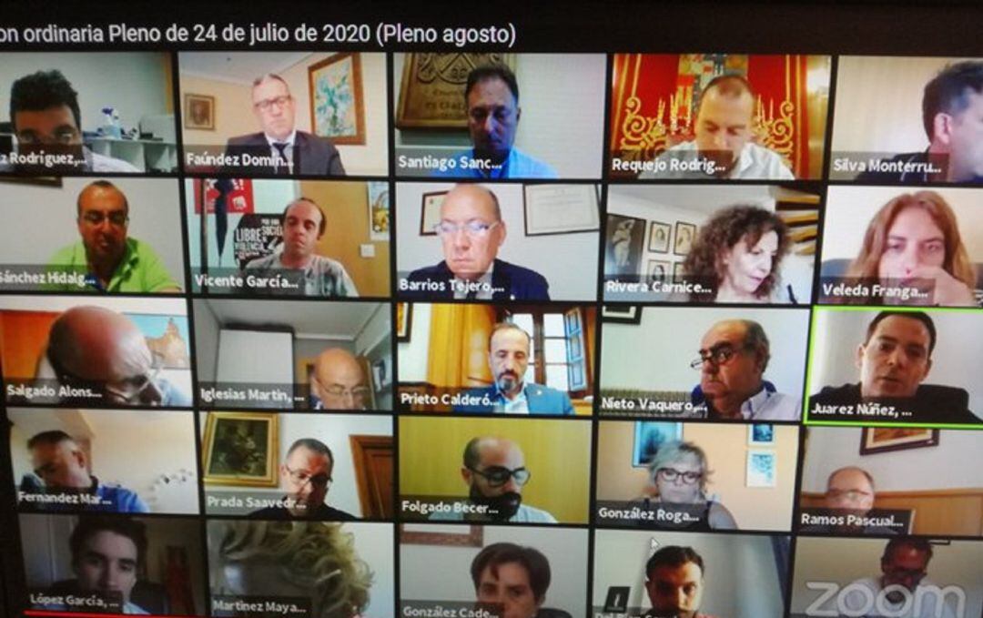 Imagen del Pleno de la Diputación, realizado de forma telemática