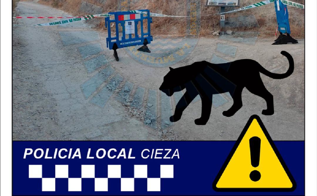 Fotomontaje realizado por la Policía Local de Cieza para advertir de la posible presencia de &quot;dos grandes felinos&quot;