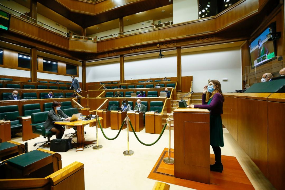 Pleno del Parlamento vasco