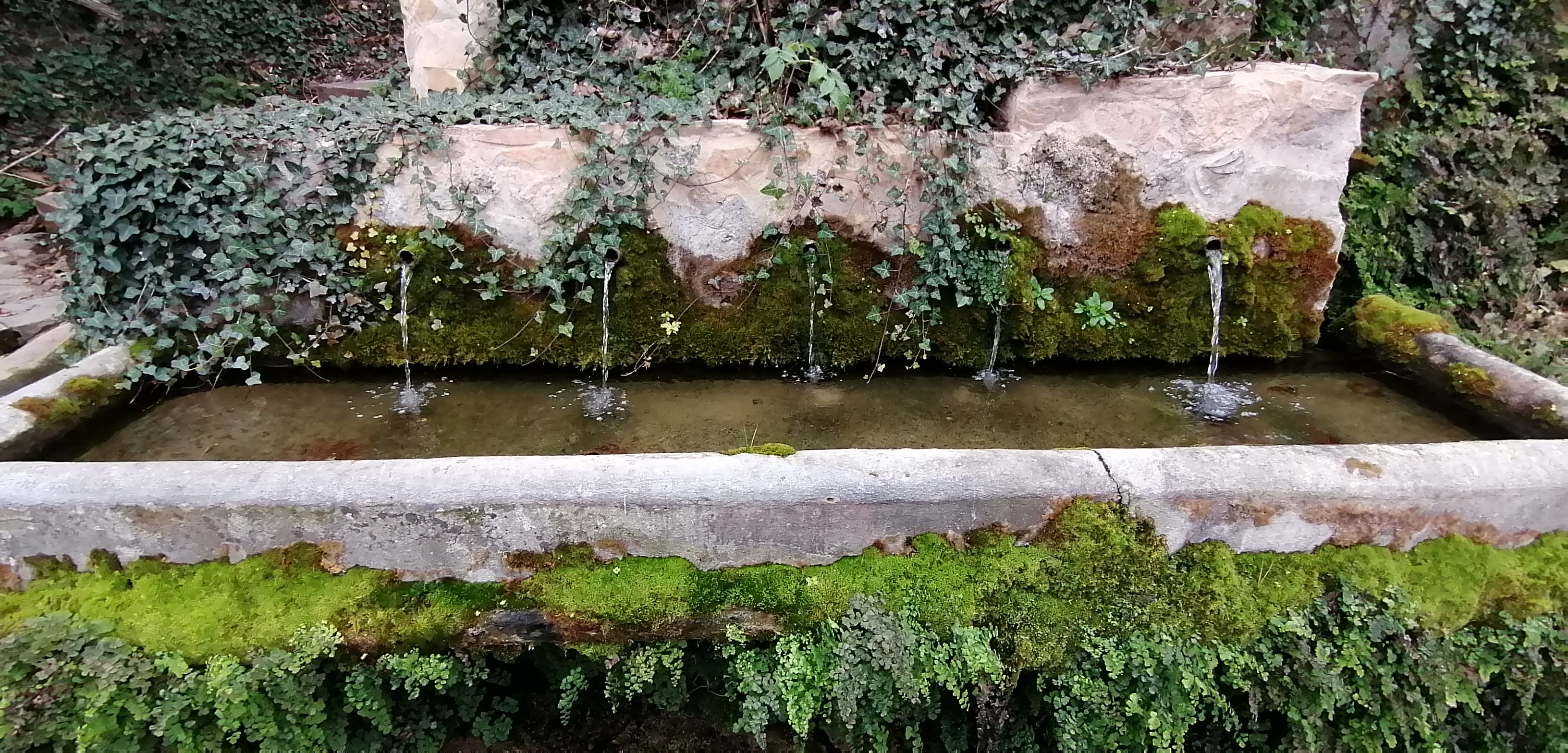 Fuente de San Blas de Enguídanos (Cuenca).