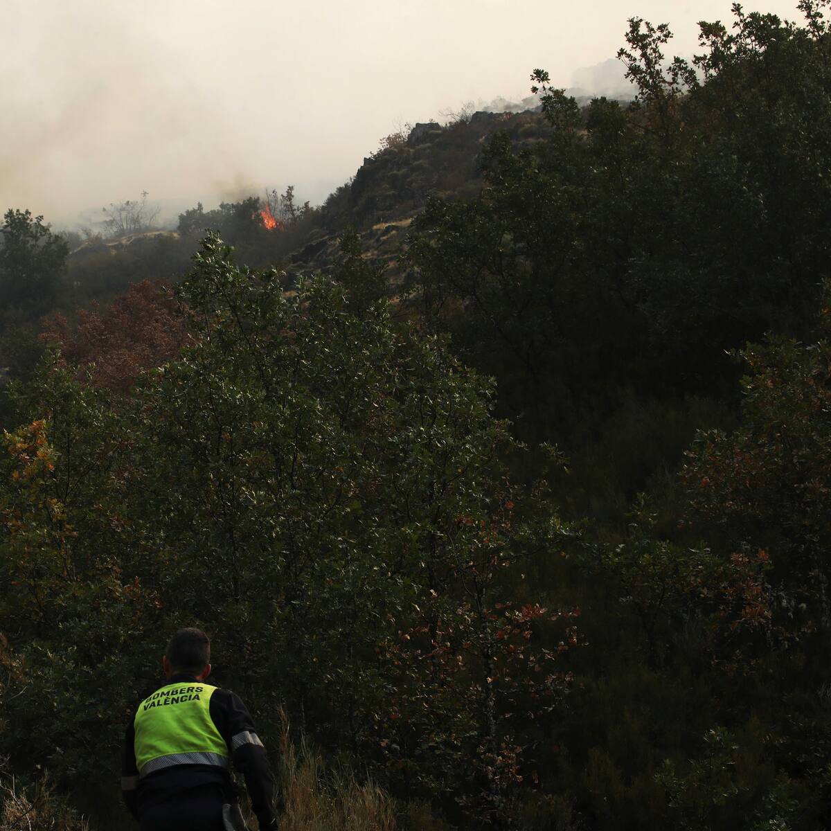 El incendio de Fasgar-Igüeña es el único de nivel 2 en el Bierzo y Laciana