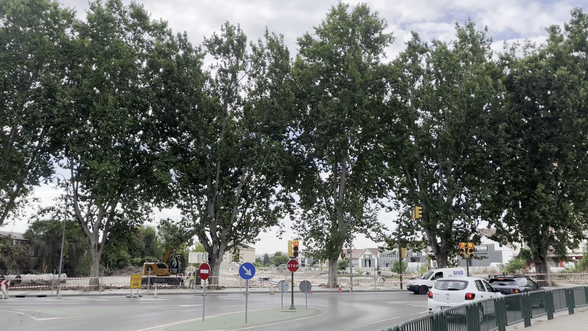 Árboles en peligro por la rotonda de Harineras