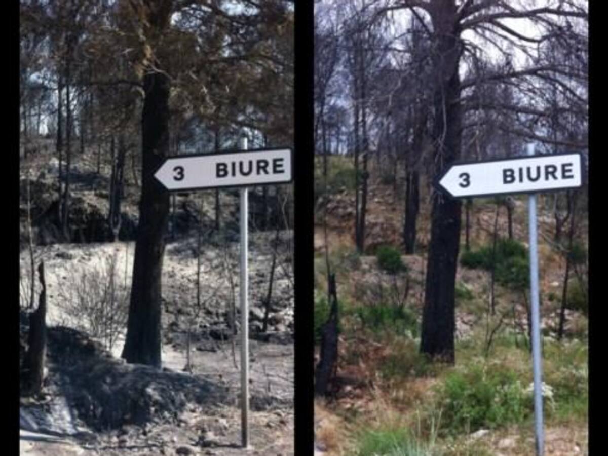 L'infern, un any després