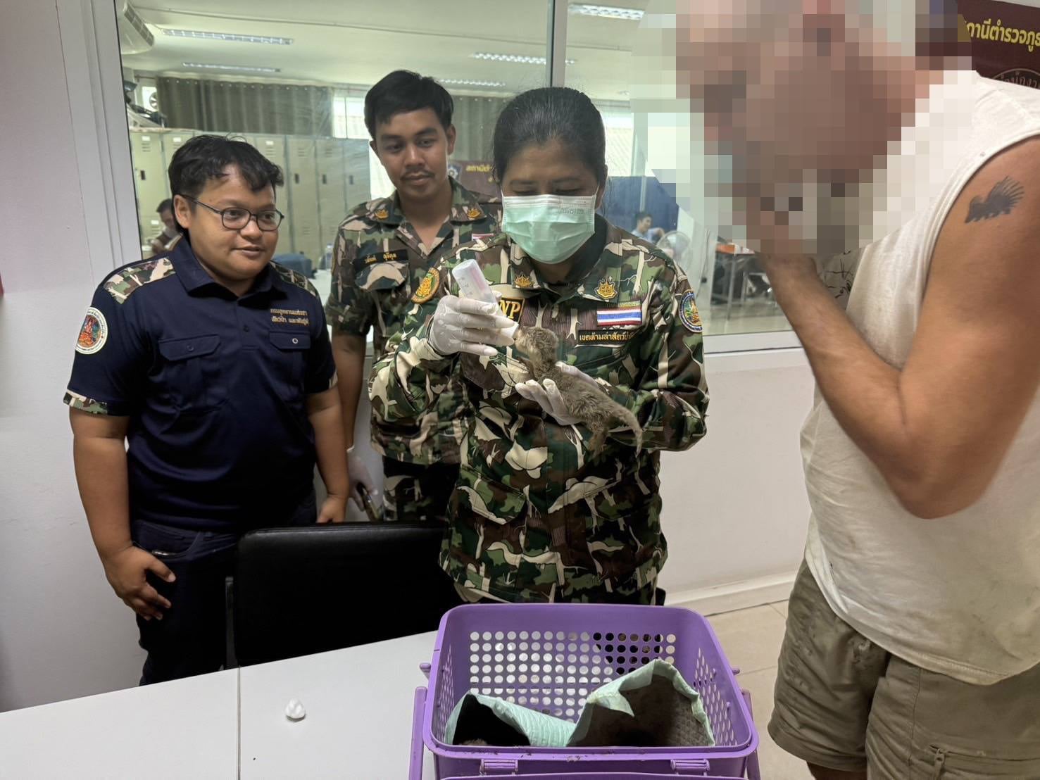 Frank Cuesta, detenido en Tailandia por presunta posesión ilegal de animales salvajes protegidos.