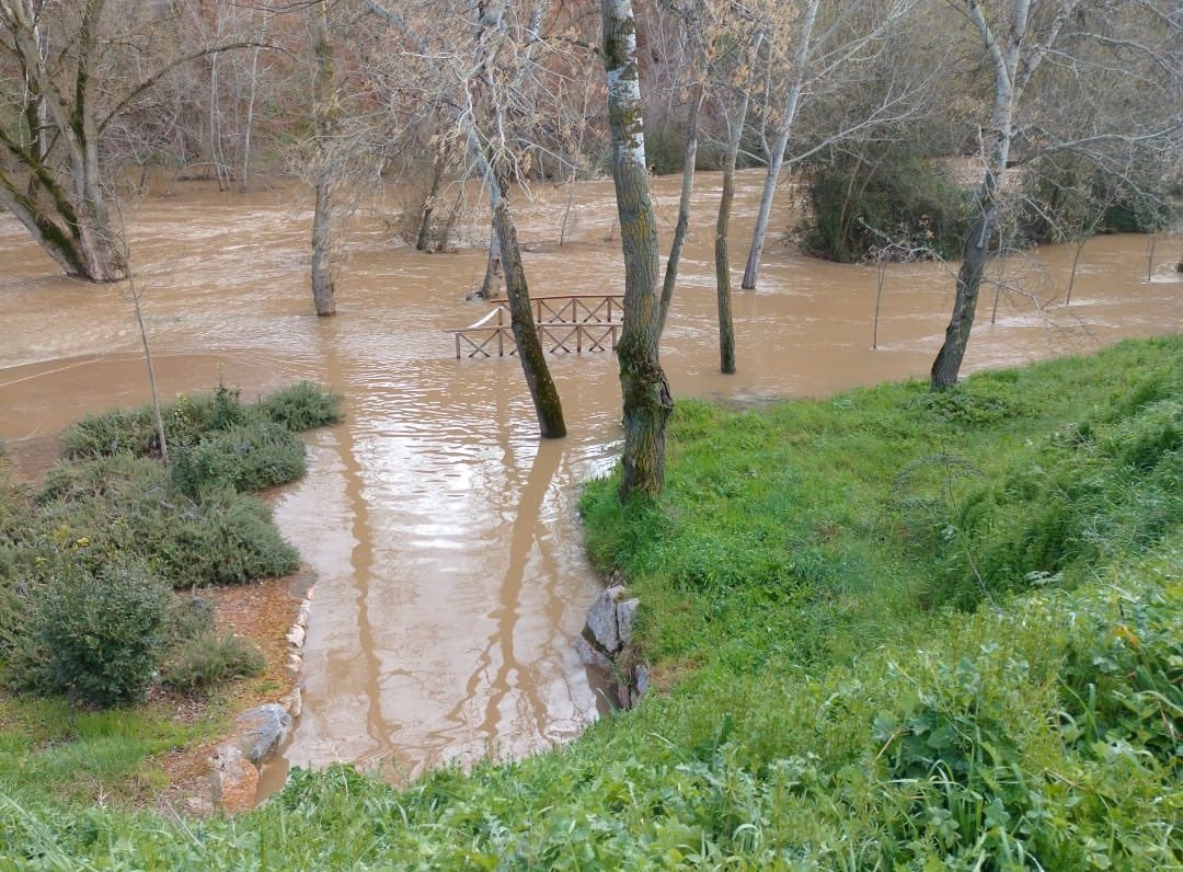 Uno de los miradores de la ribera del Henares inundado