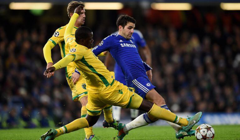 LONDON, ENGLAND - DECEMBER 10:  Cesc Fabregas of Chelsea is tackled by William Carvalho of Sporting Lisbon during the UEFA Champions League group G match between Chelsea and Sporting Clube de Portugal at Stamford Bridge on December 10, 2014 in London, Uni