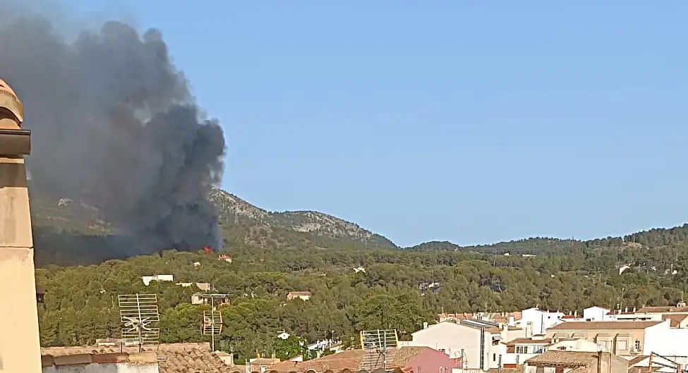 Imágenes del fuego visto desde la localidad