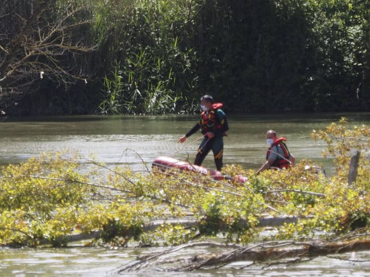 "Un cocodrilo del Nilo no sería capaz de soportar el invierno en un hábitat como el del Pisuerga"