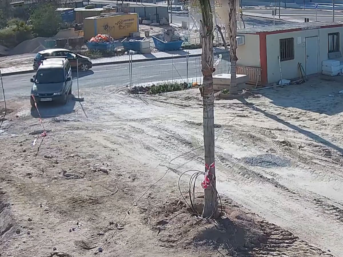 Detenidos tras robar 600 tablones de encofrar en obras de San Miguel de Salinas (Alicante)