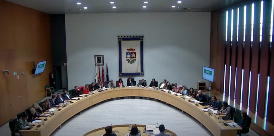 Pleno municipal de Fuenlabrada.