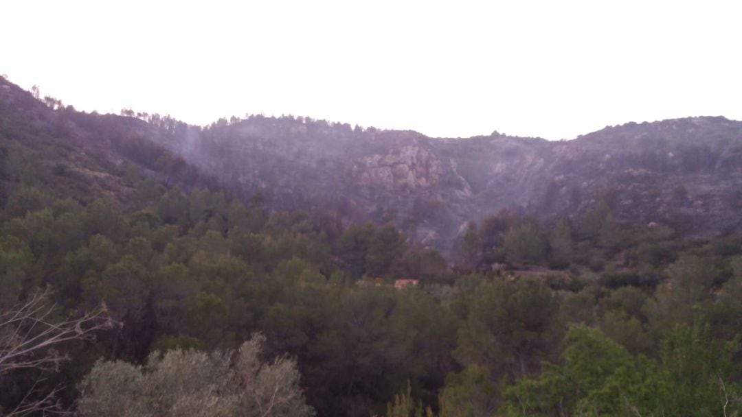 Incendio forestal en Castell de Castells.