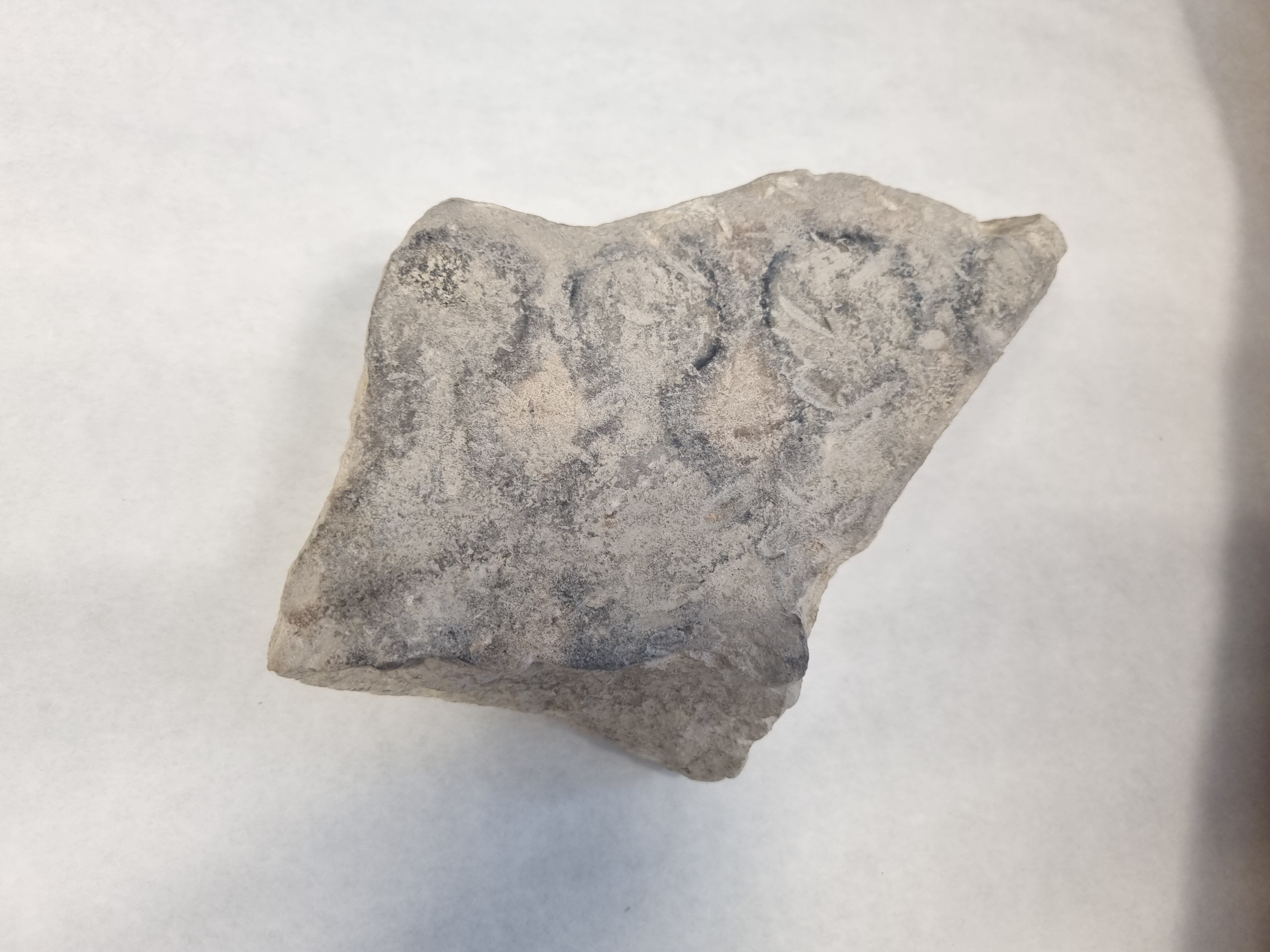 Hallan en Porcuna el primer molde de piedra para la producción de moneda documentado en la Península Ibérica