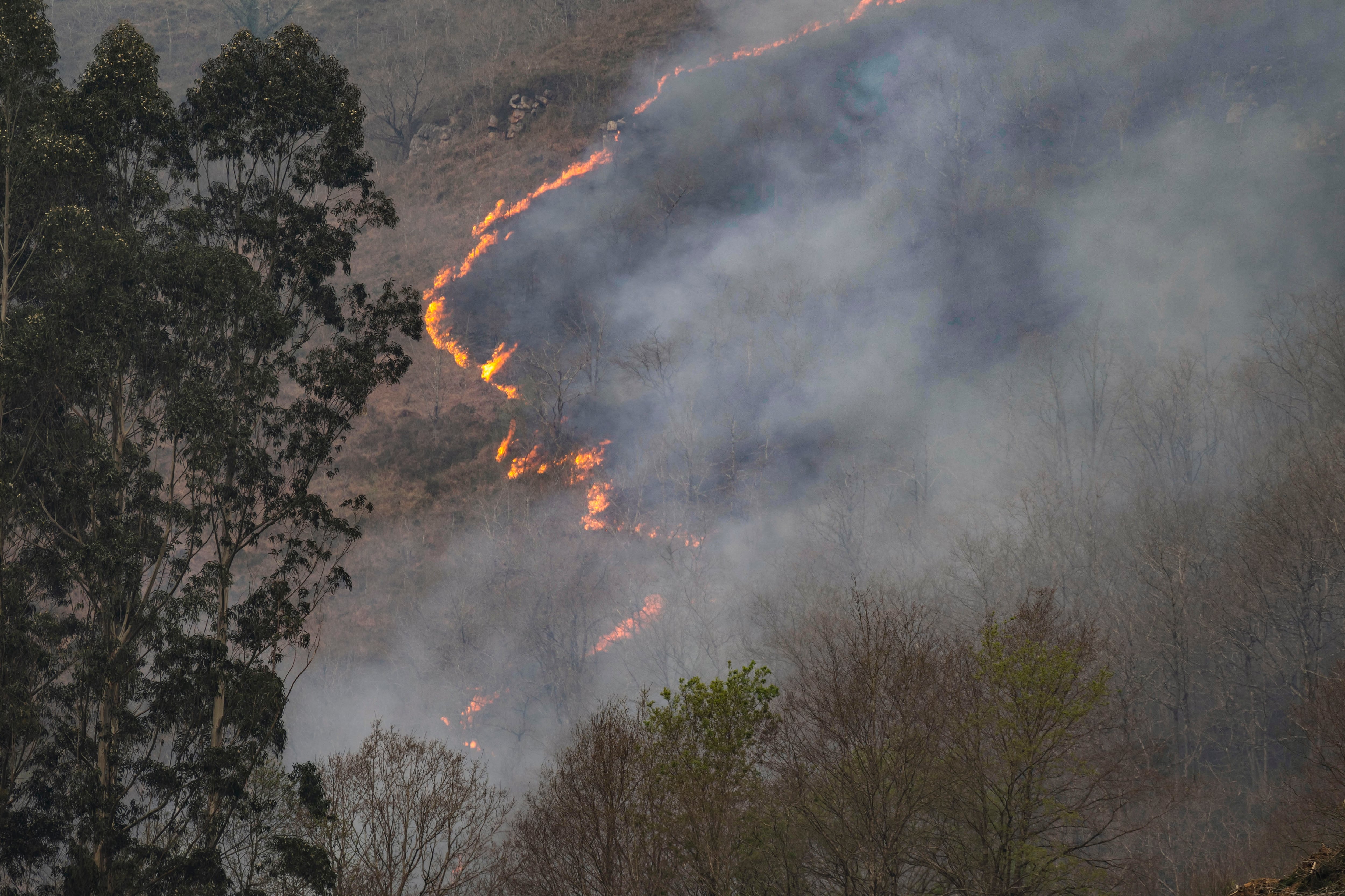 BARCENILLAS (CANTABRIA), 07/04/2026.-Vista de un incendio forestal, este martes, en los montes próximos a la localidad cántabra de Barcenillas. El Gobierno de Cantabria ha activado a las 9.00 horas de este martes la fase de preemergencia del plan especial de Protección Civil por incendios forestales, al estar activos 26, sobre todo en la zona del Saja-Nansa, y existir un "riesgo extremo" ante ese tipo de siniestros.- EFE/Pedro Puente Hoyos