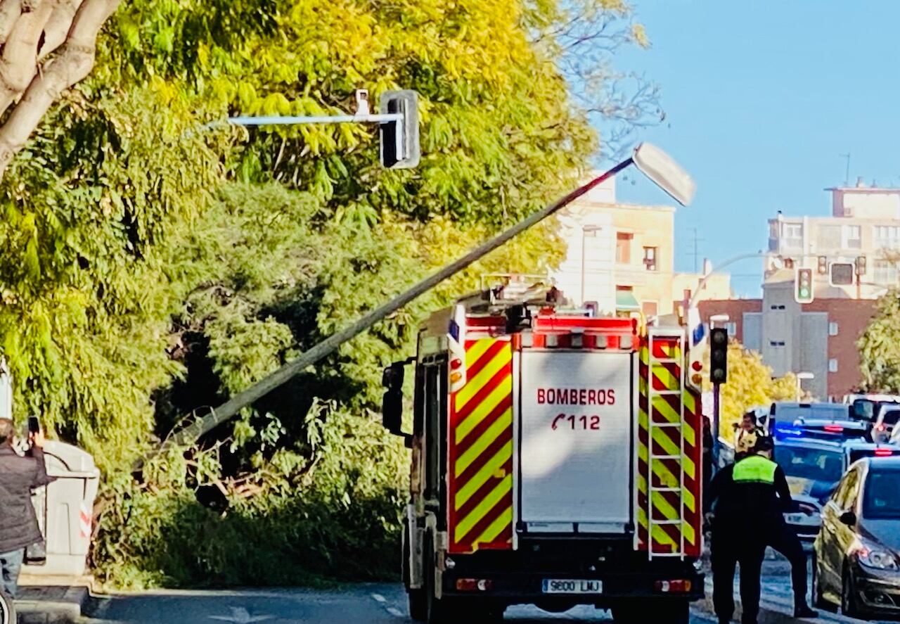 Árbol caído en la calle Váquez de Mella de Alicante