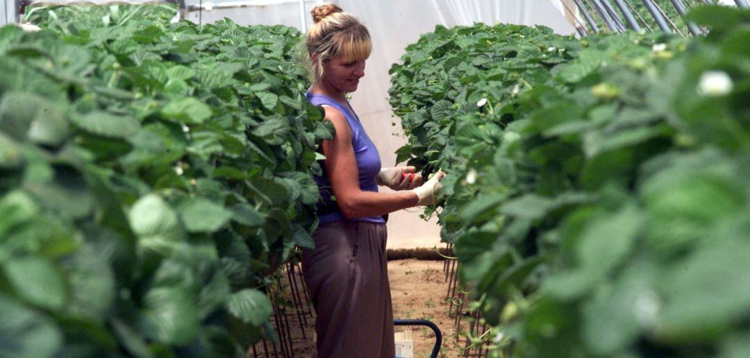 La importancia de la mujer en las zonas rurales 