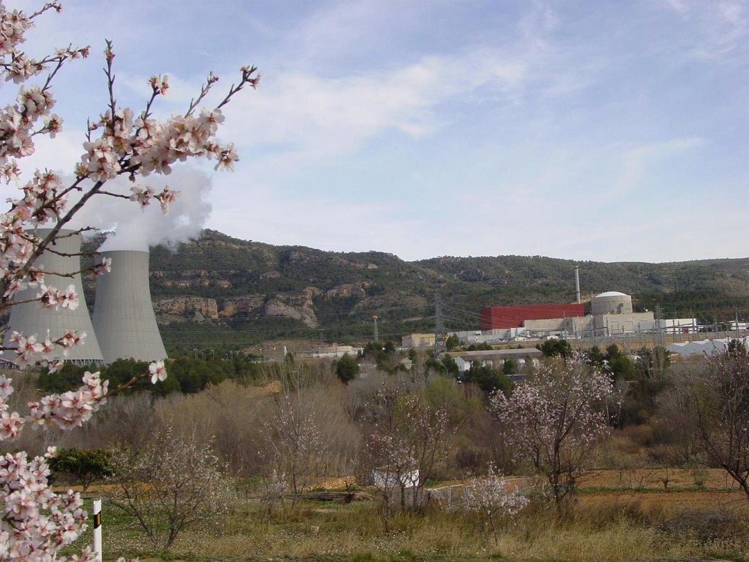 Central Nuclear de Cofrentes (foto de archivo)