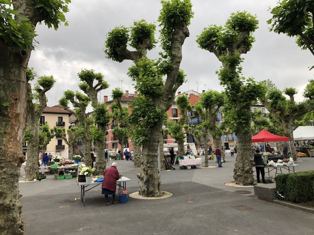 Mercadillo de la plaza Urdanibia