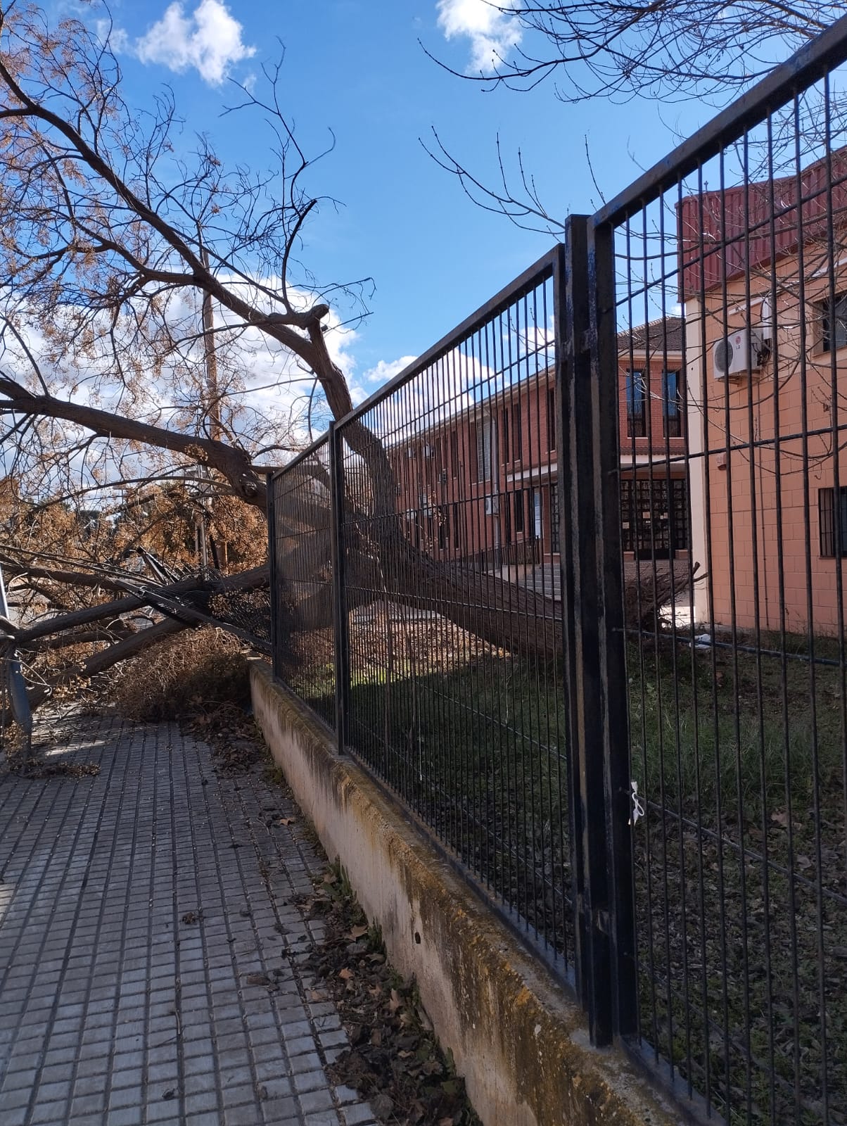 Daños por el viento. Archivo