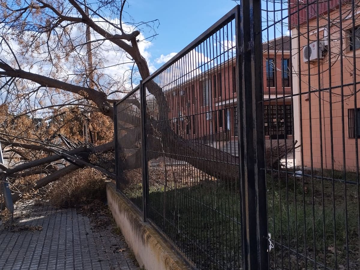 AEMET avisa de ‘Riesgo Importante’ por fuertes rachas de viento en la madrugada del jueves