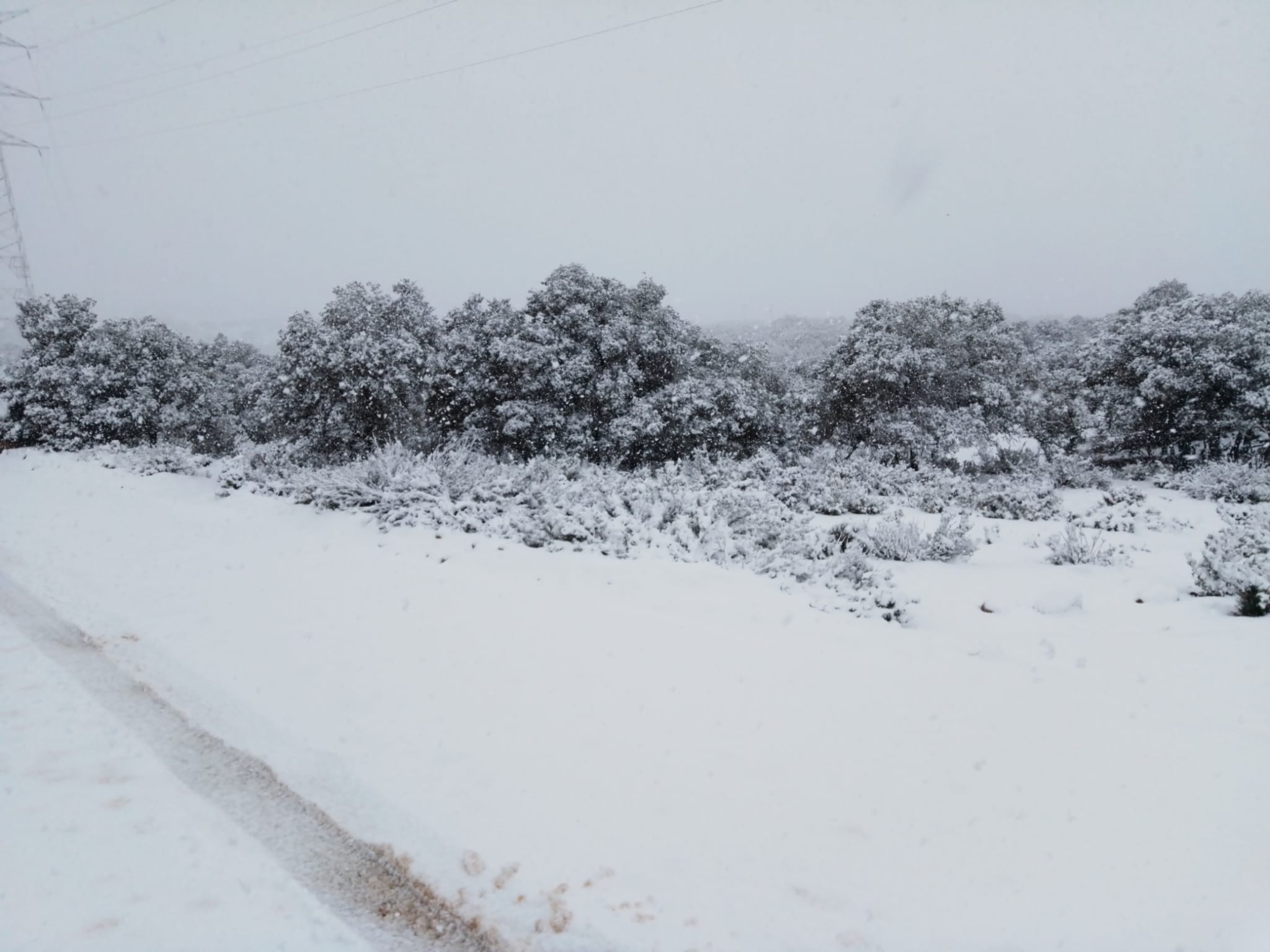 Nevada en Munera