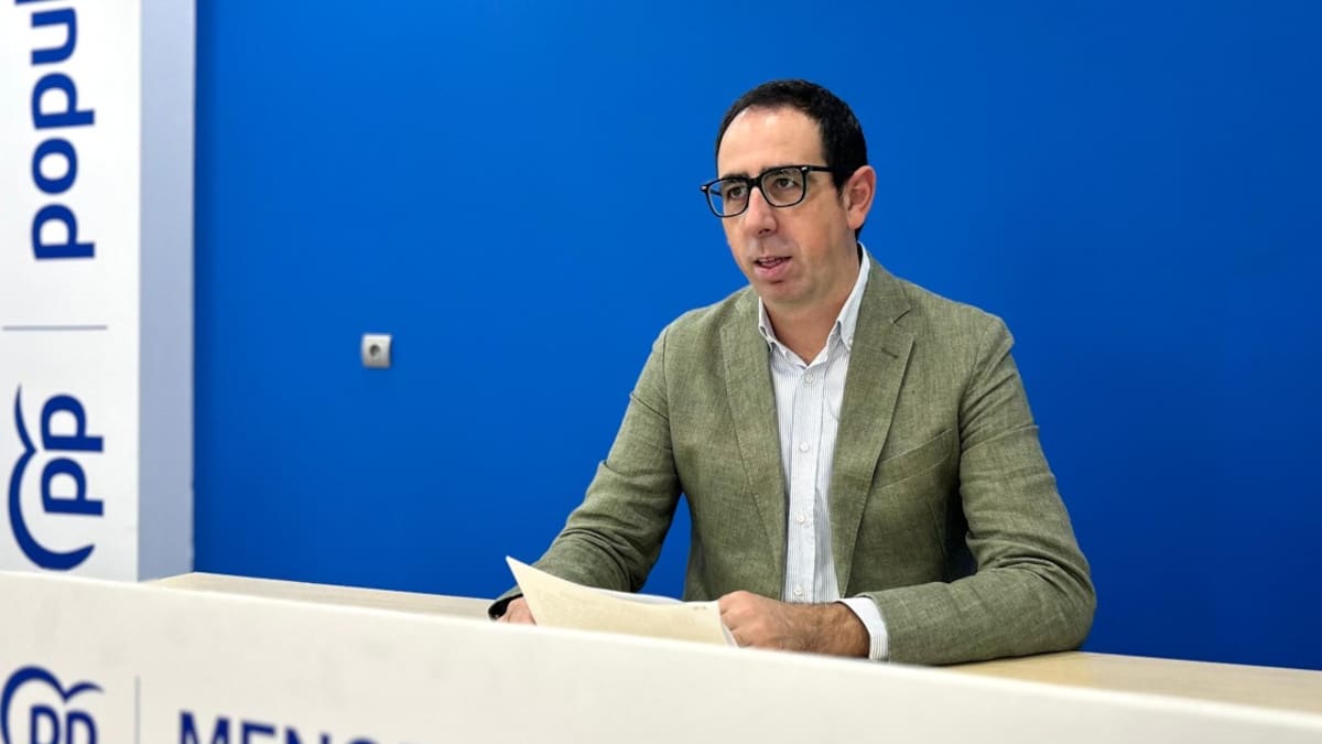 El PP acusa el Ministeri de Transports de deixar sol al Consell per no millorar la connectivitat aèria