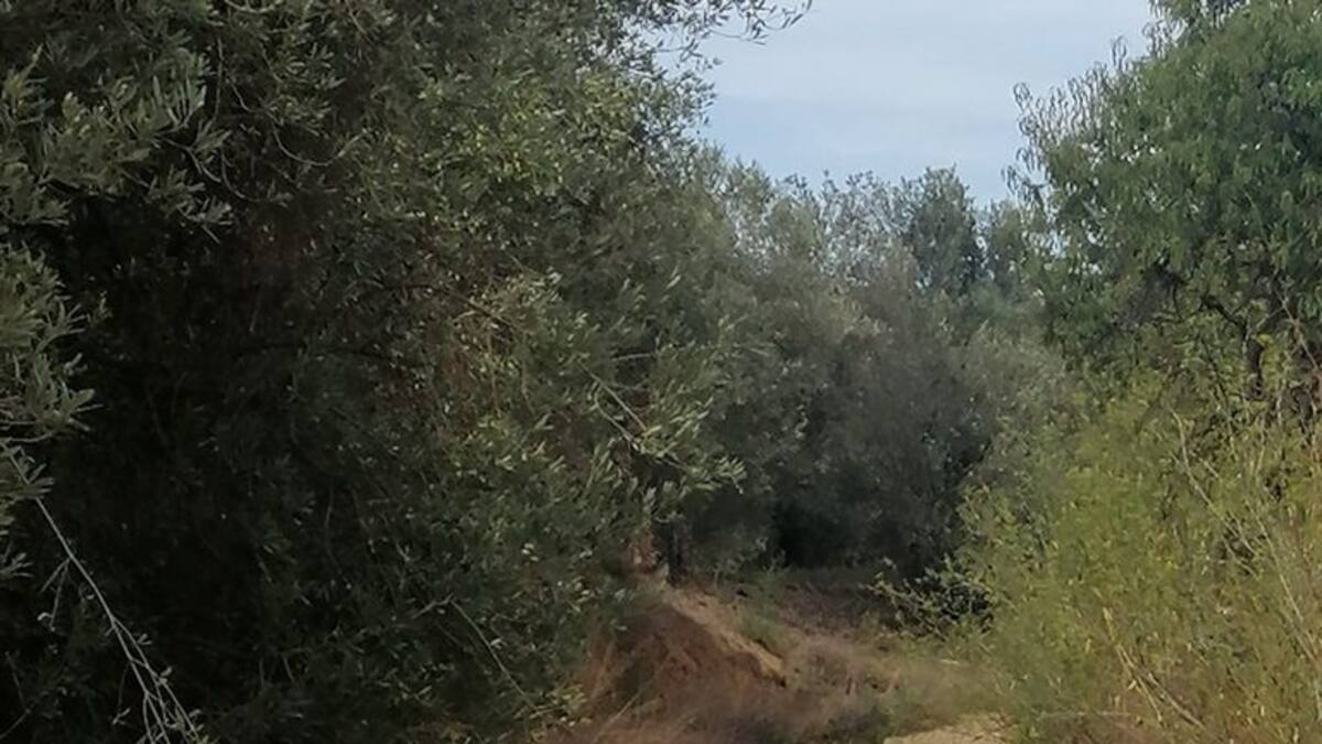 Barbastro repara el Camino de Costean