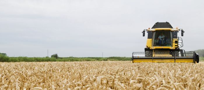 Cosechadora en un campo de cereal