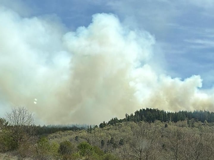 Uno de los frentes del incendio