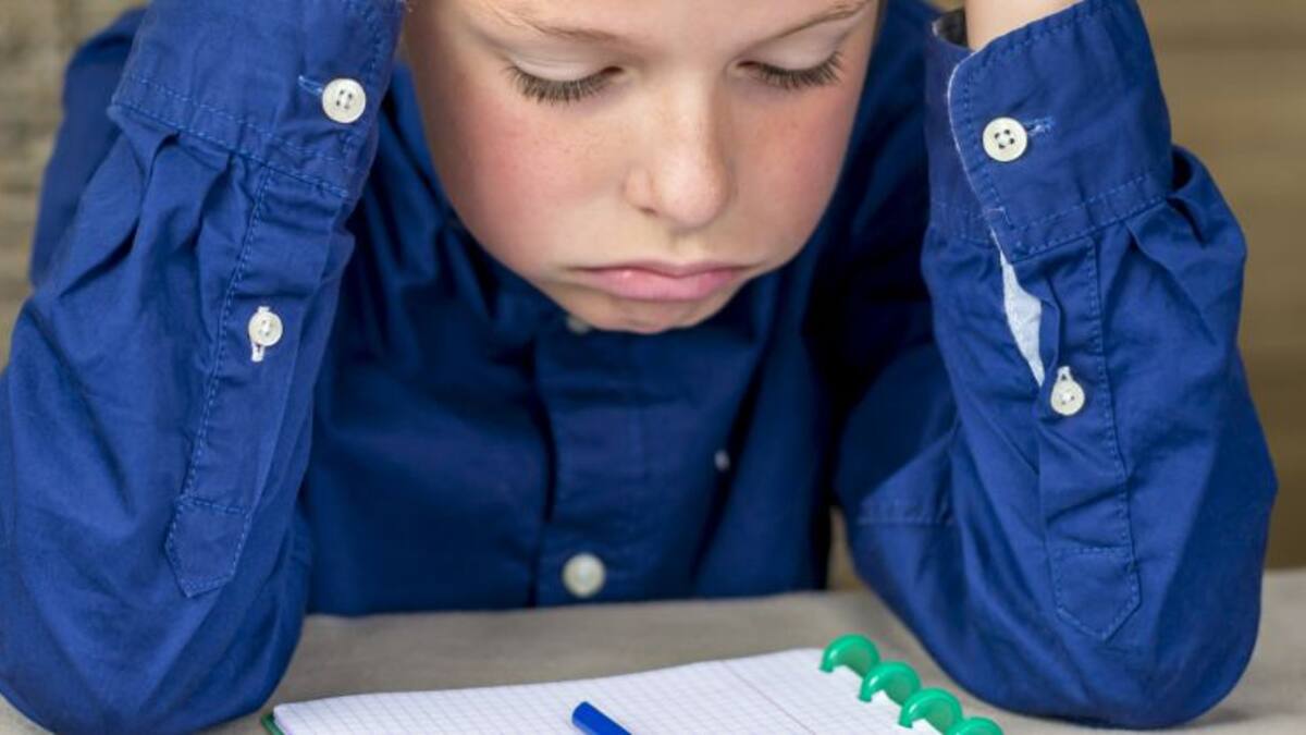 El Consejo Escolar decidirá si limitar los deberes escolares