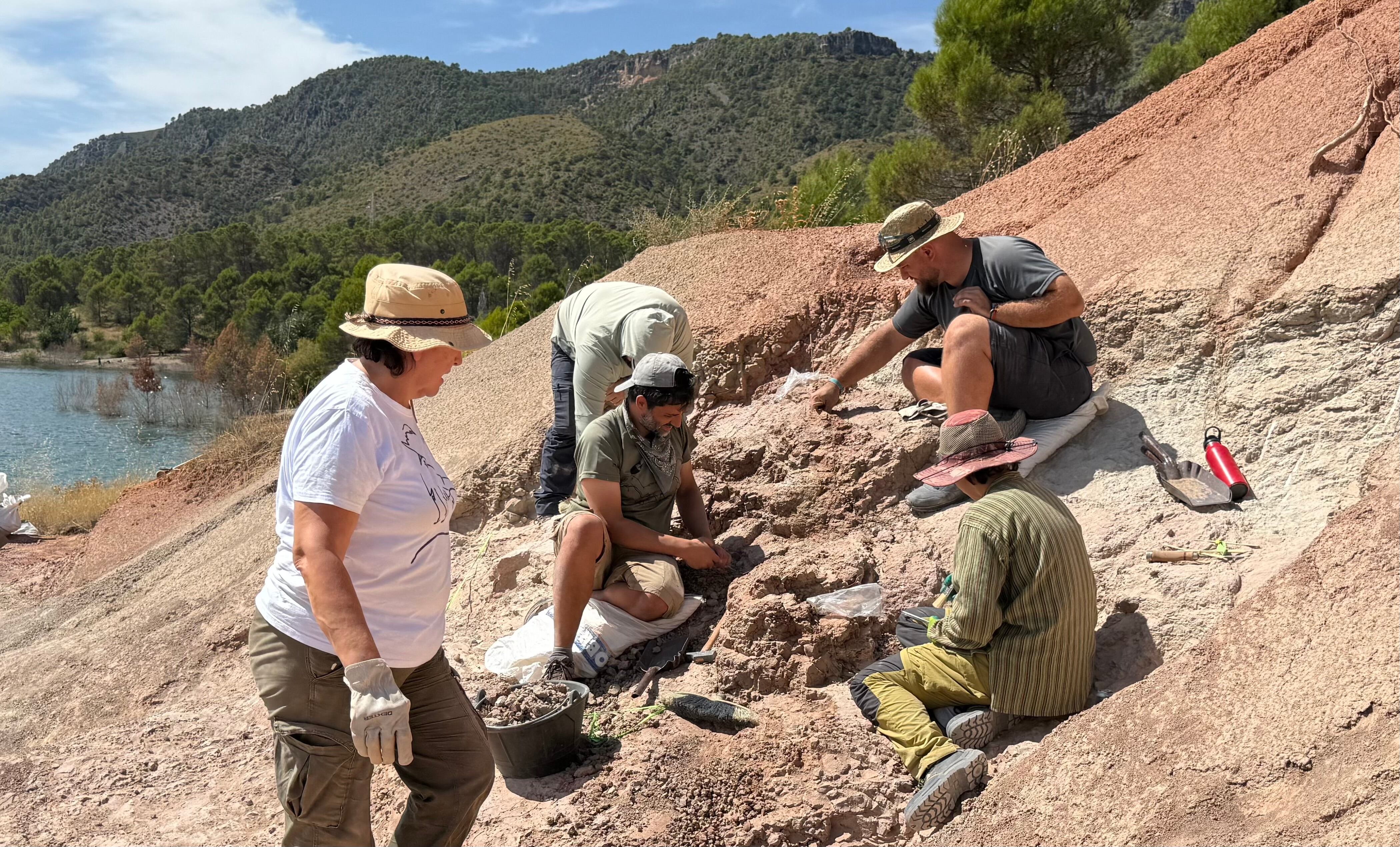 Los restos encontrados corresponden principalmente a dinosaurios saurópodos.