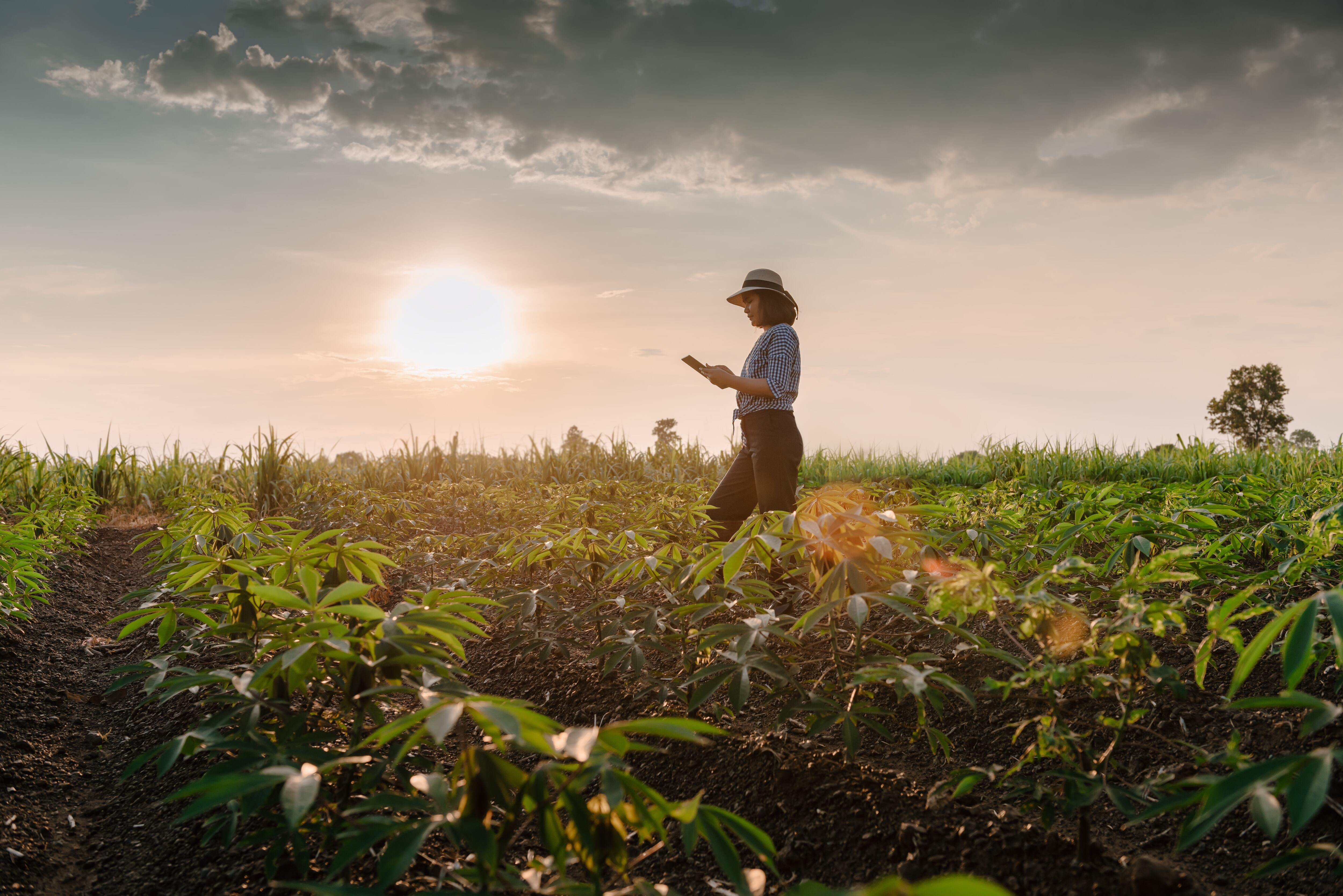 Imagen de archivo | Getty Images