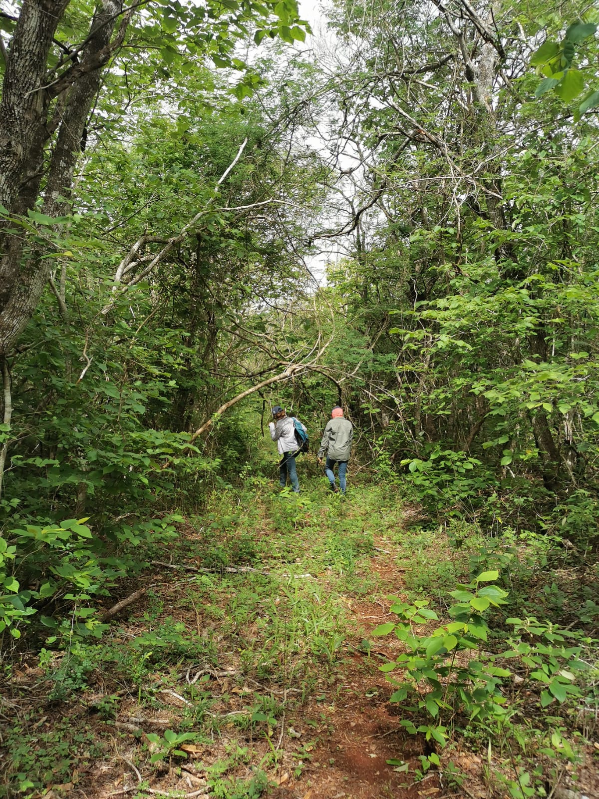 Naturaleza omnipresente en Cinatura Tabi