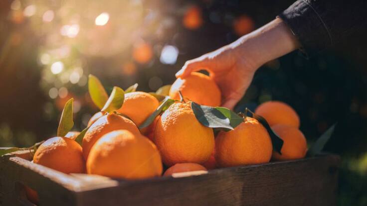 Entrevista a Daniel Argente en la Ventana