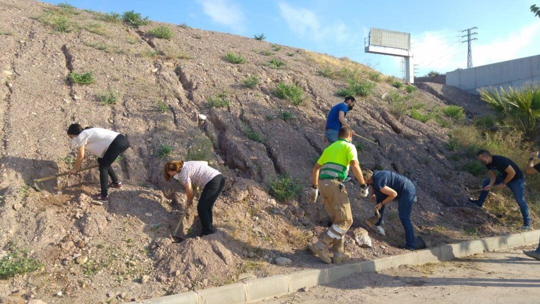 &#039;Parque Forestal Sur&#039;, un proyecto de repoblación forestal pionera en España.