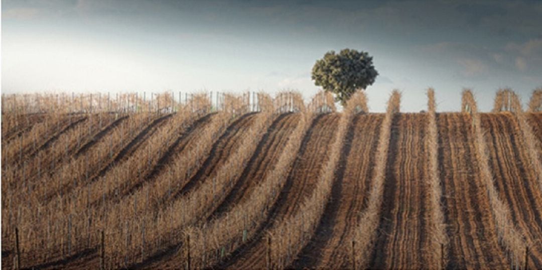 Fotografía ganadora, obra de Eduardo Marcos