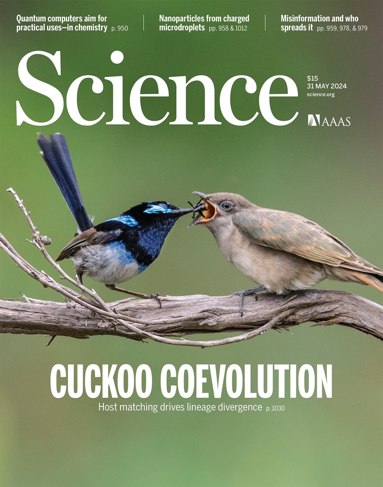 Portada de Science con el titulo &quot;La co-evolución del cuco&quot;