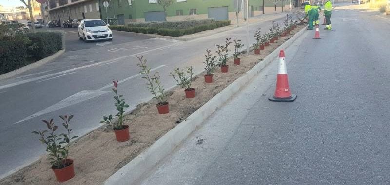 Imagen de los trabajos de jardinería