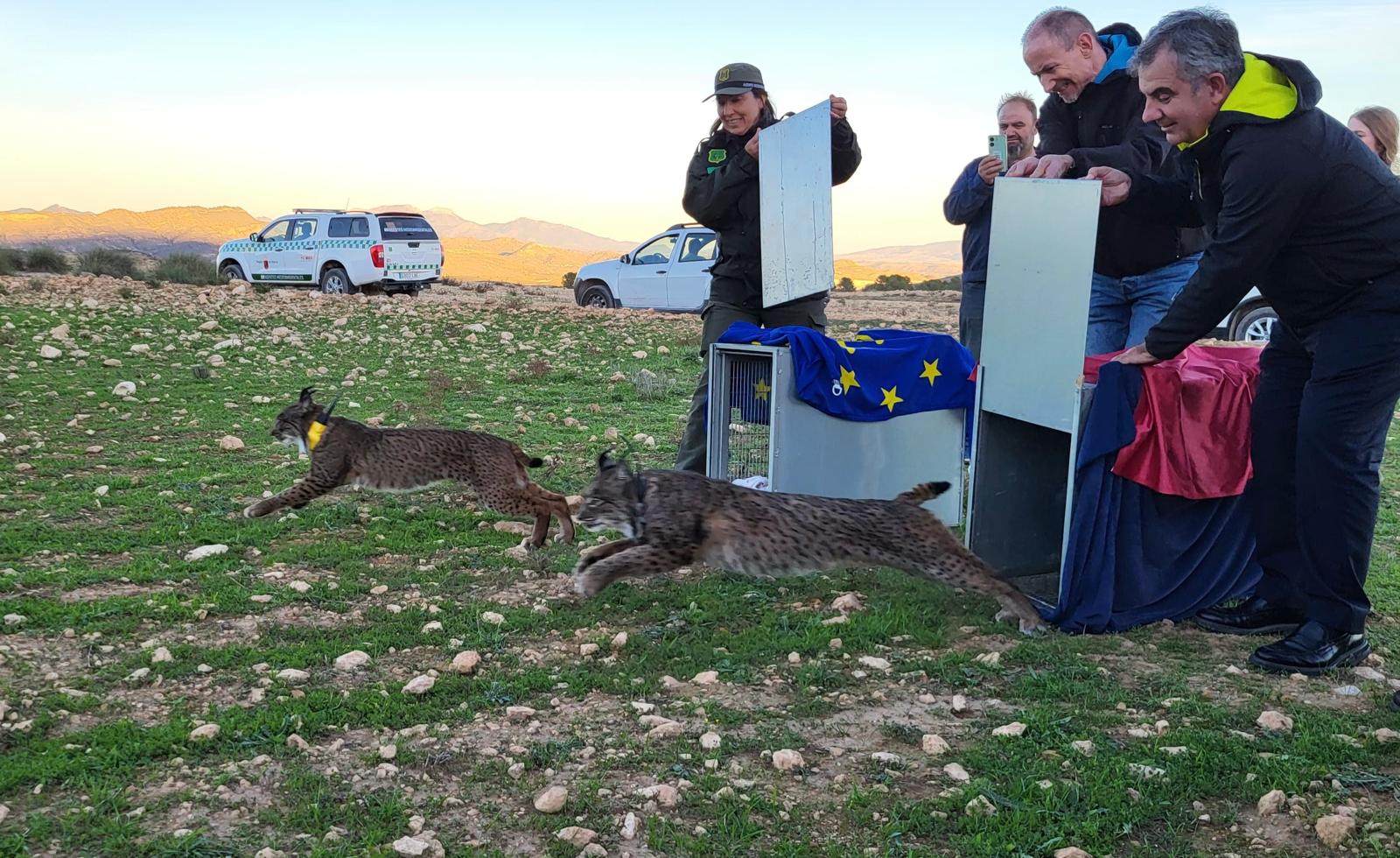 El consejero Juan María Vázquez, junto al rector de la UPCT, Mathieu Kessler ayer durante la suelta de los dos linces ibéricos en las inmediaciones de La Parroquia (Lorca).