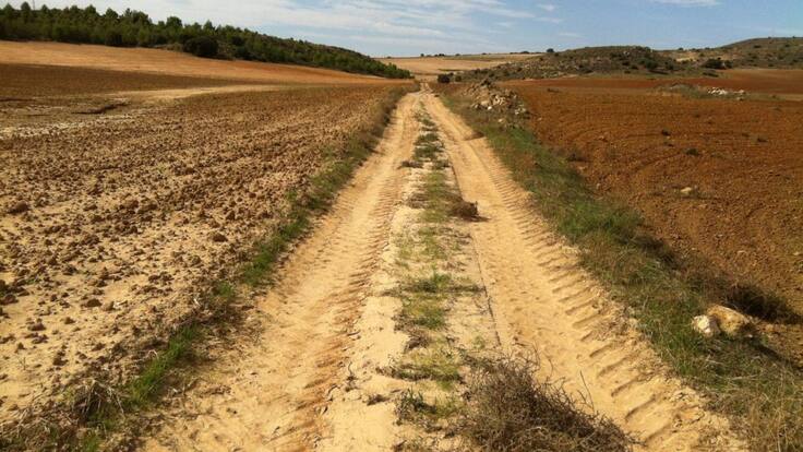 "Olvidar que hemos sido olvidados"