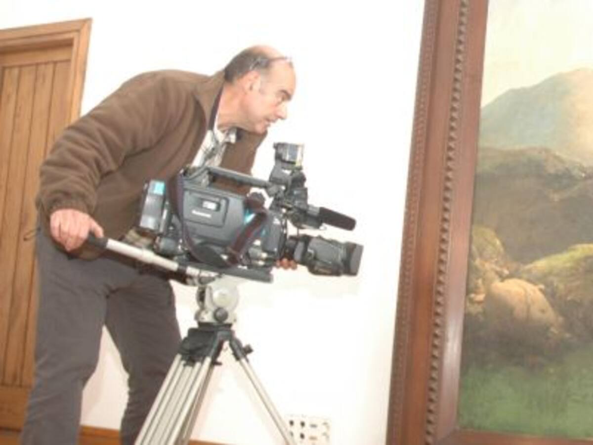 El Museo de Bellas Artes finaliza la restauración del cuadro Árbore de Montaña