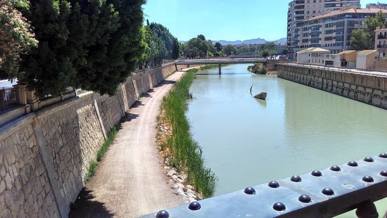 Rio Segura a su paso por Murcia