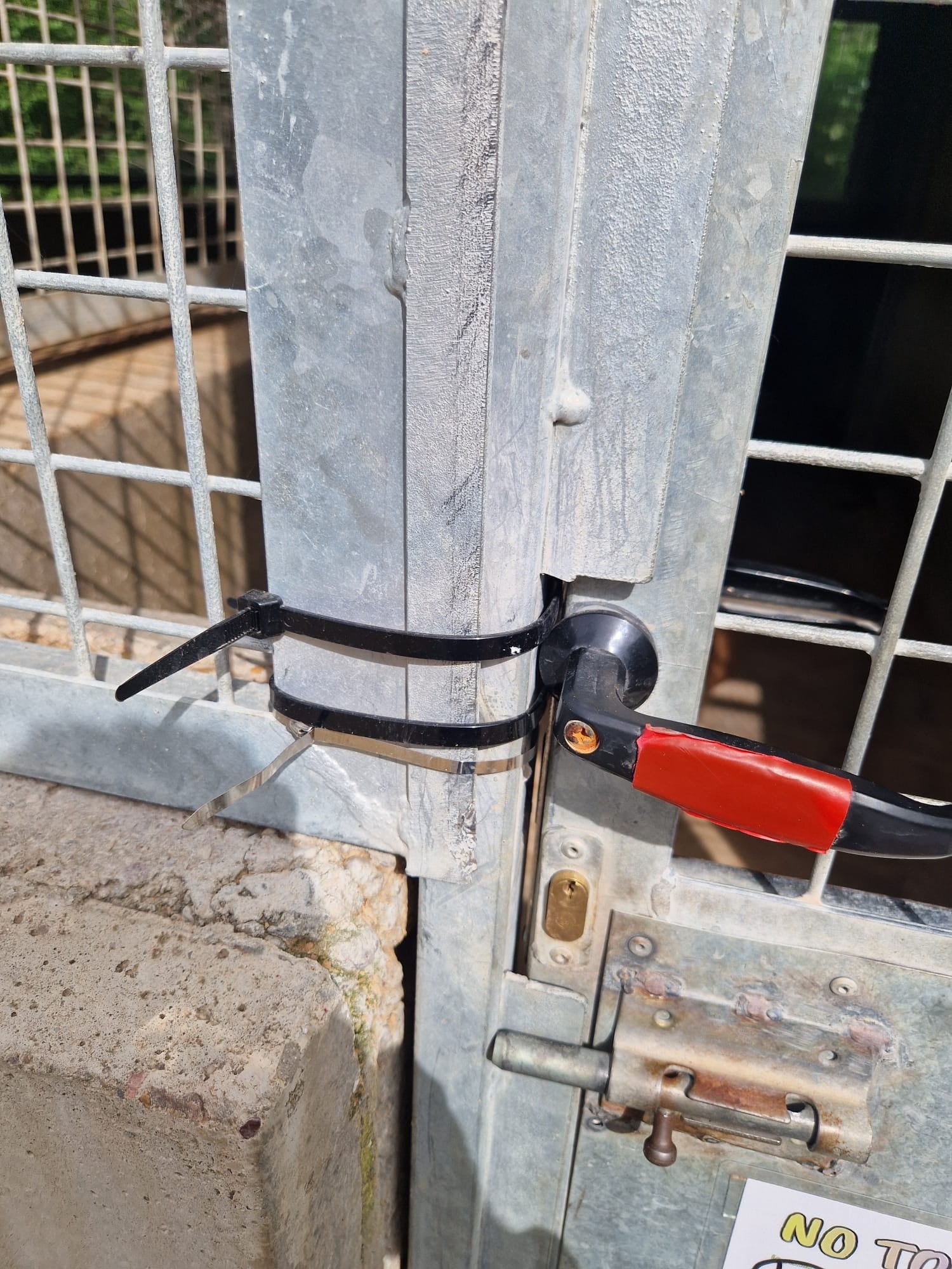 Ejemplo de las carencias que sufren las instalaciones de la protectora de Palencia